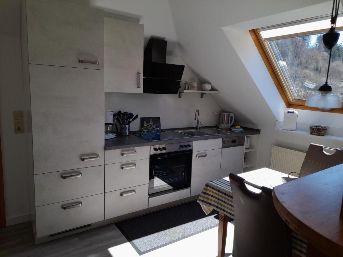 Apartament Haus Elsholz Willingen Willingen  Zewnętrze zdjęcie