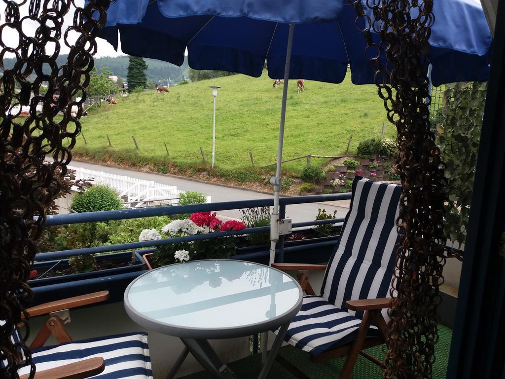 Apartament Haus Elsholz Willingen Willingen  Zewnętrze zdjęcie